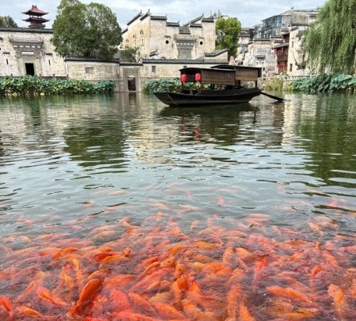 优雅团建2025 江西婺源古城