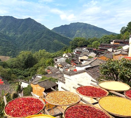 婺源 篁岭 晒秋