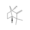 Camphene CAS 79-92-5 Molecular Structure