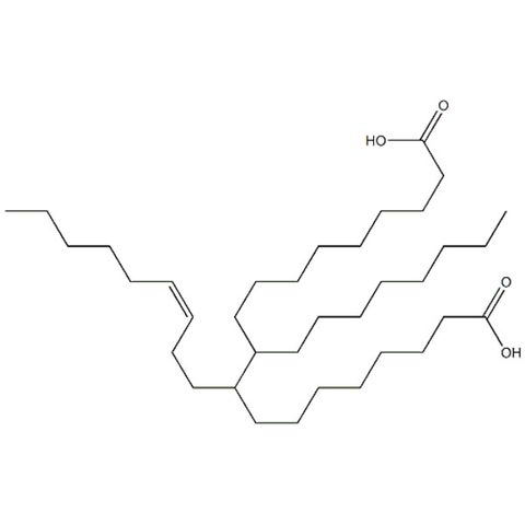 Dimer Acid